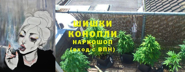 гидра Протвино