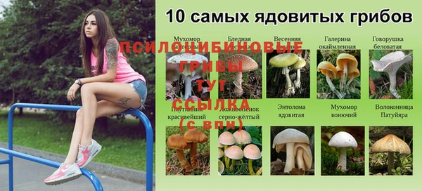MESCALINE Дубна